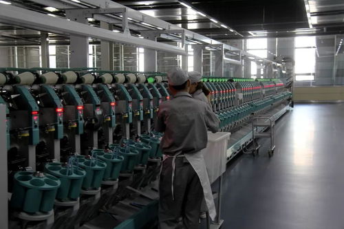 清河羊絨產(chǎn)業(yè)邁向有機智能高端化