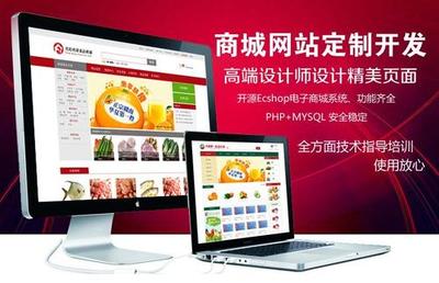 高級建設(shè)網(wǎng)站與商城定制開發(fā) 打造卓越的互聯(lián)網(wǎng)平臺(tái)